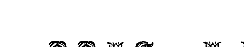 Tulip Border WF Font Download Free