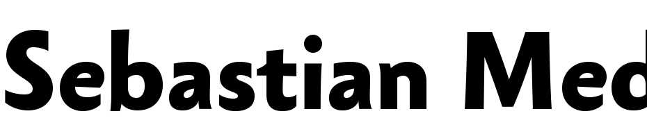 Sebastian Medium Pro Bold Yazı tipi ücretsiz indir