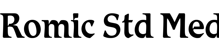 Romic Std Medium Yazı tipi ücretsiz indir