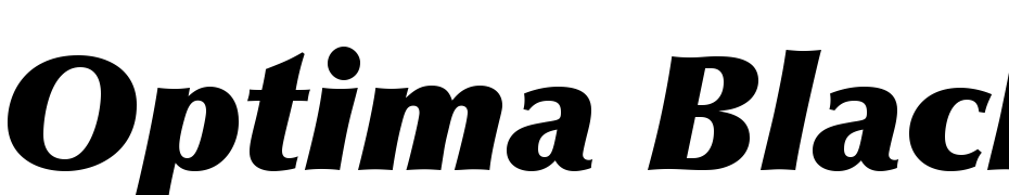 Optima LT Std Extra Black Italic Font Download Free