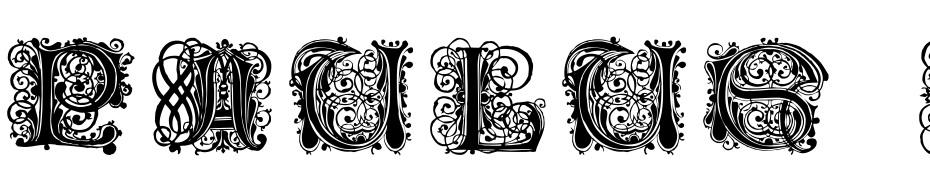 Paulus Franck Initialen Font Download Free