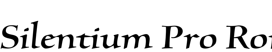 Silentium Pro Roman I Font Download Free