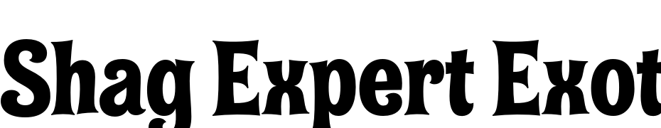Shag Expert Exotica Font Download Free