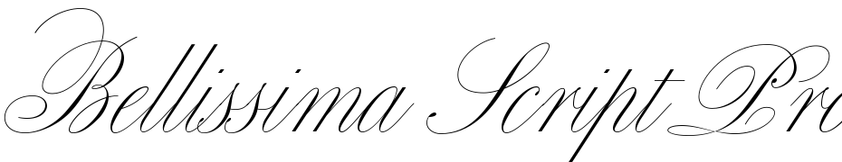 Bellissima Script Pro Schrift Herunterladen Kostenlos