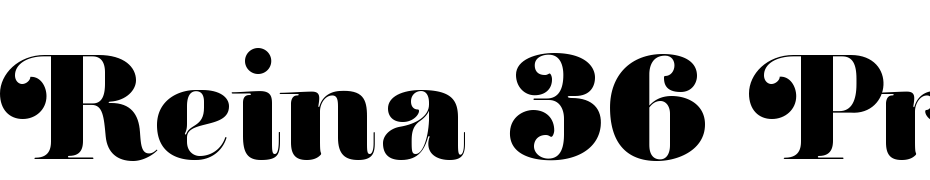 Reina 36 Pro Font Download Free