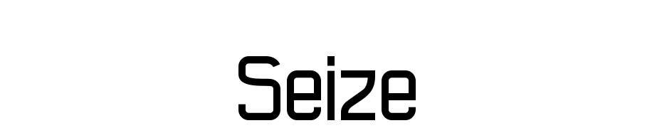 Seize Font Download Free