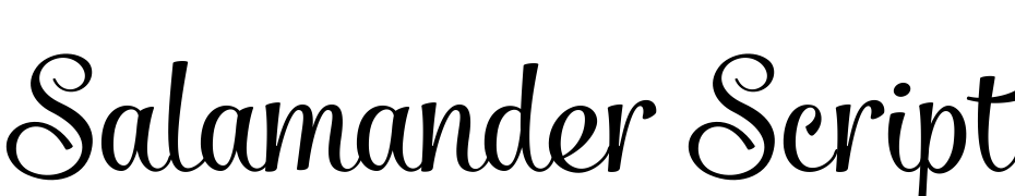Salamander Script Font Download Free