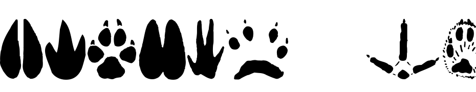 Animal Tracks Font Download Free