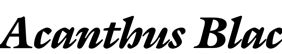 Acanthus Black SSi Black Italic Polices Telecharger