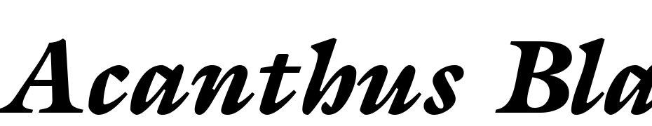 Acanthus Black SSK Italic Scarica Caratteri Gratis
