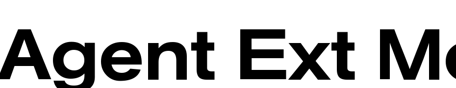 Agent Ext Med DB Normal Fuente Descargar Gratis