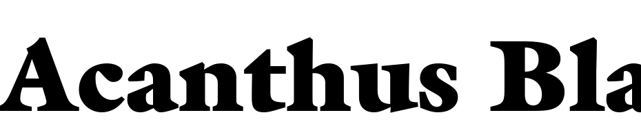 Acanthus Black SSi Extra Black Polices Telecharger