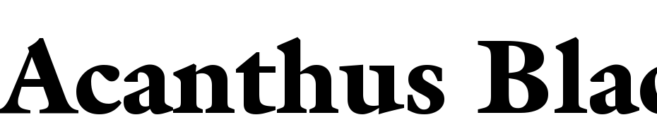 Acanthus Black SSi Black Font Download Free