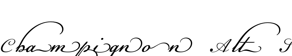 Champignon Alt Swash Font Download Free