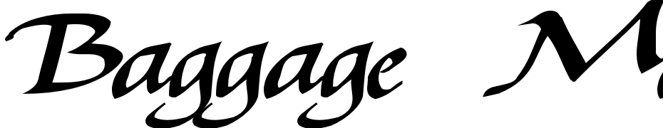 Baggage Master Text79 Bold Font Download Free