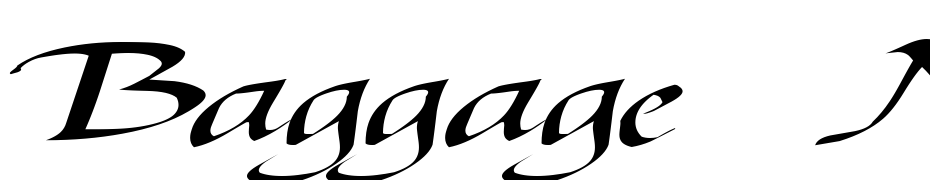 Baggage Master Text79 Regular Font Download Free