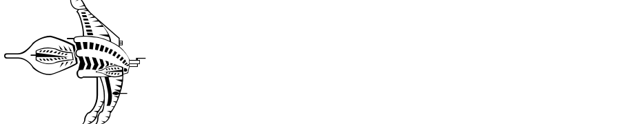 B5wingdings Font Download Free