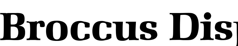Broccus Display SSi Font Download Free
