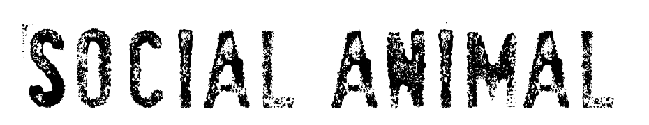Socia LAnima L Font Download Free