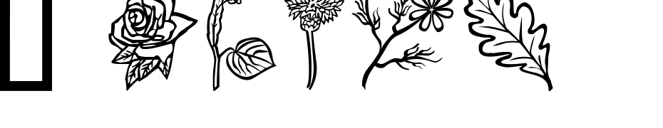 Flower Show Font Download Free