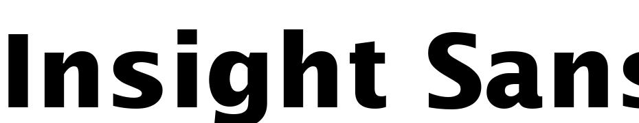 Insight Sans SSi Bold Font Download Free