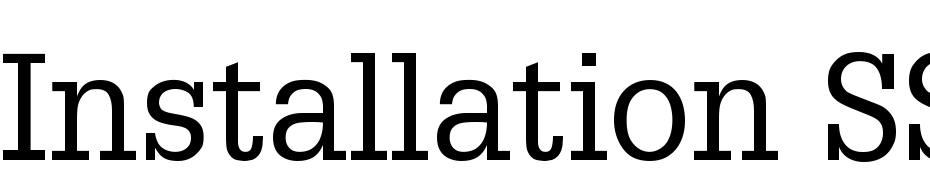 Installation SSi Font Download Free