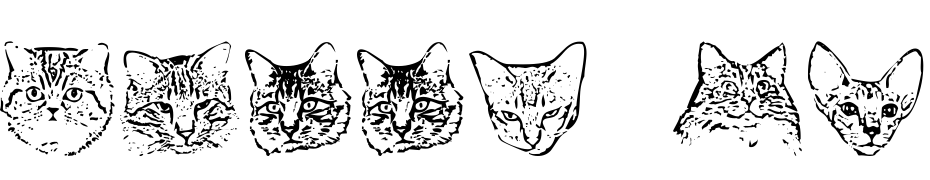 Kitty Print AOE Font Download Free