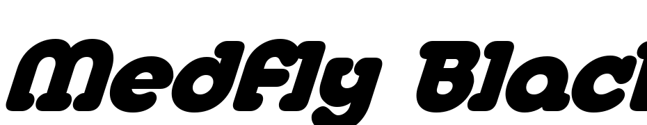 Medfly Black Italic Polices Telecharger