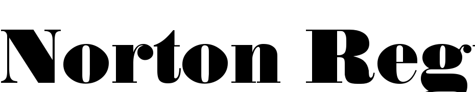 Norton Regular DB Font Download Free