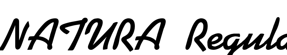 NATURA Regular Font Download Free