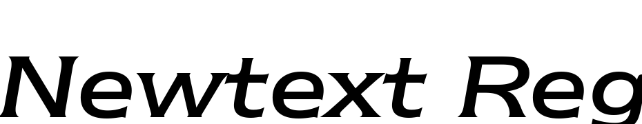 Newtext Regular Italic BT Font Download Free
