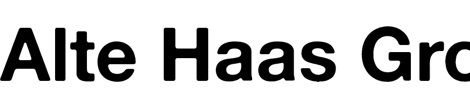 Alte Haas Grotesk Bold Font Download Free