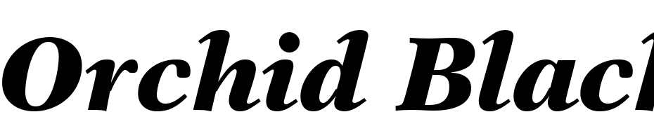 Orchid Black SSi Black Italic Font Download Free