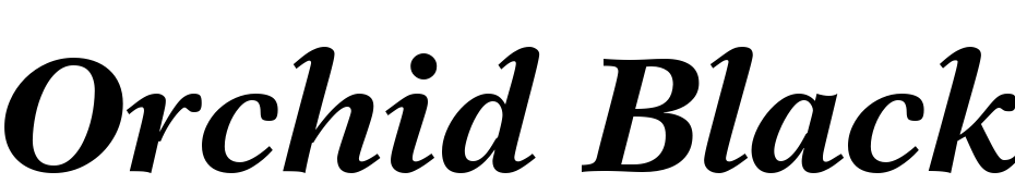 Orchid Black SSi Bold Italic Font Download Free