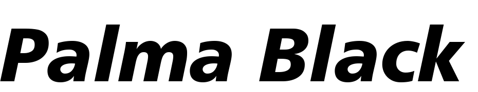 Palma Black SSi Black Font Download Free