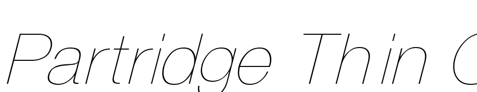 Partridge Thin Oblique Font Download Free
