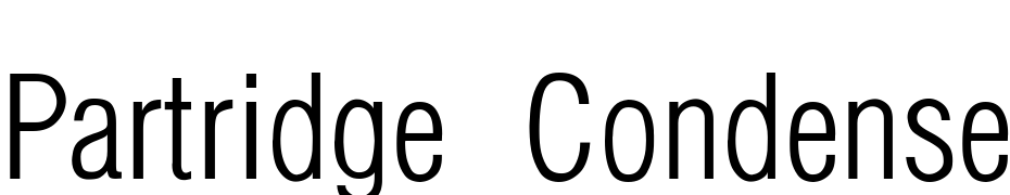 Partridge Condensed Light Li Font Download Free