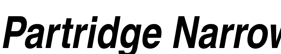 Partridge Narrow Bold Oblique Font Download Free