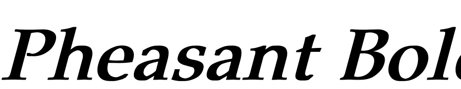 Pheasant Bold Italic Font Download Free