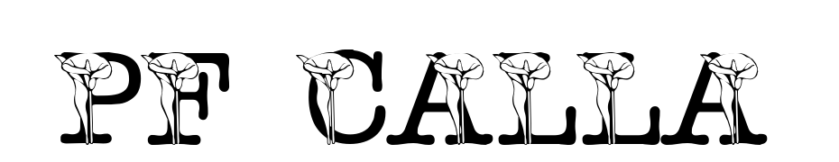 Pf_calla Font Download Free