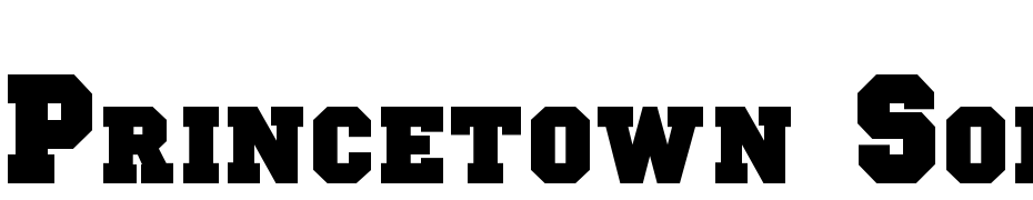Princetown Solid Normal Font Download Free