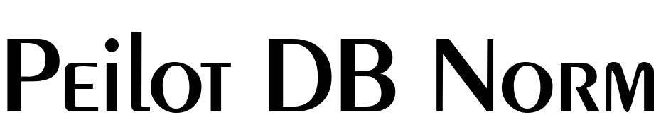 Peilot DB Normal Font Download Free