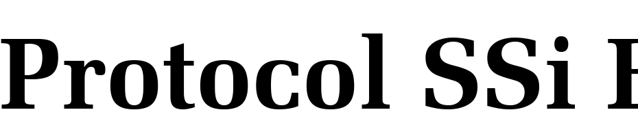 Protocol SSi Bold Font Download Free