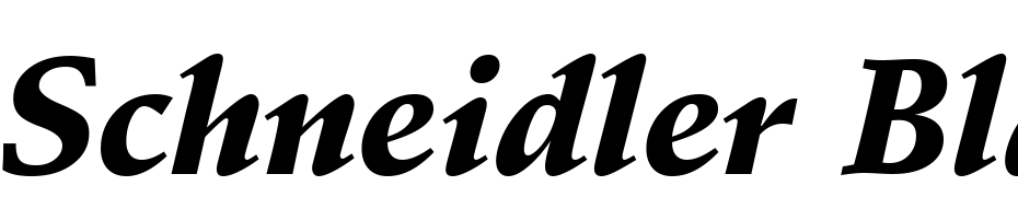 Schneidler Black Italic BT Font Download Free