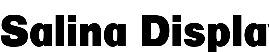 Salina Display SSi Font Download Free
