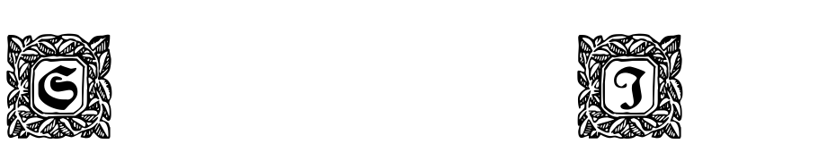 Schmuck Initialen 2 Font Download Free