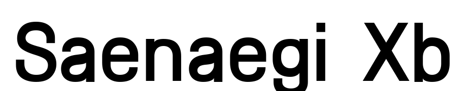 Saenaegi Xb Font Download Free