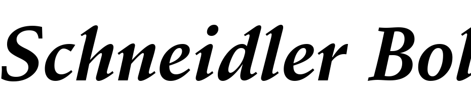 Schneidler Bold Italic BT Font Download Free