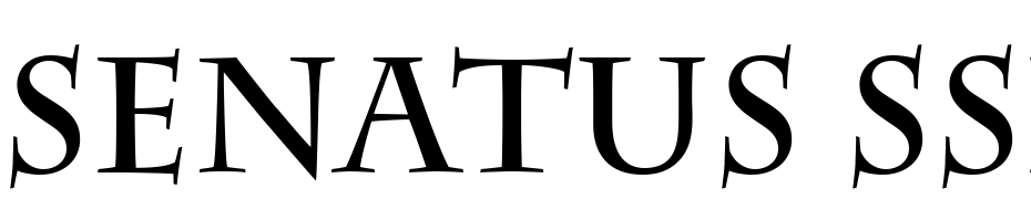 Senatus SSi Bold Font Download Free