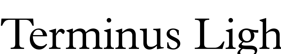 Terminus Light SSi Light Font Download Free